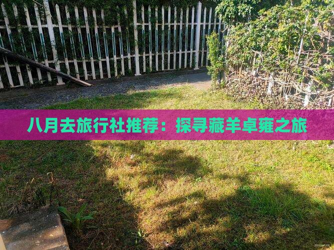 八月去旅行社推荐：探寻藏羊卓雍之旅