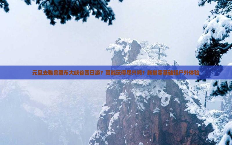 元旦去雅鲁藏布大峡谷四日游？高能玩得尽兴吗？新增零基础轻户外体验