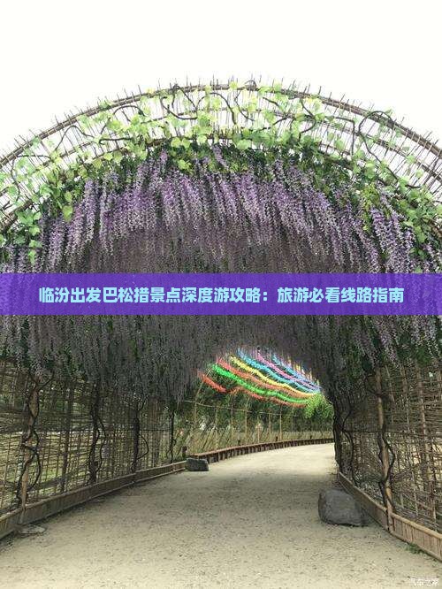 临汾出发巴松措景点深度游攻略：旅游必看线路指南