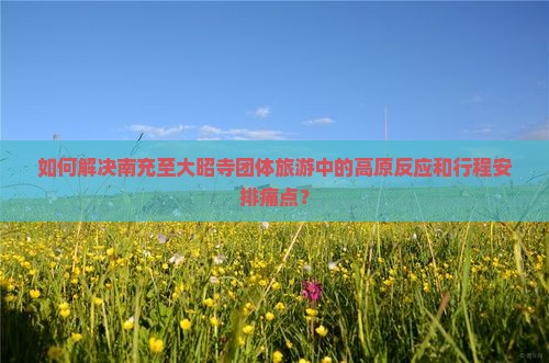 如何解决南充至大昭寺团体旅游中的高原反应和行程安排痛点？