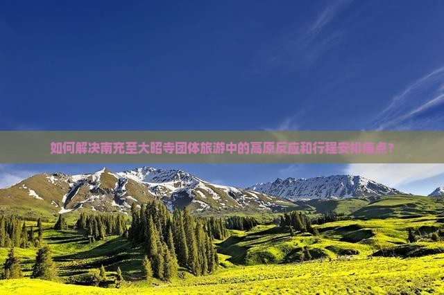 如何解决南充至大昭寺团体旅游中的高原反应和行程安排痛点？