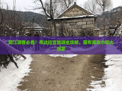 阳江游客必看！布达拉宫旅游全攻略，藏布美食小吃大搜罗