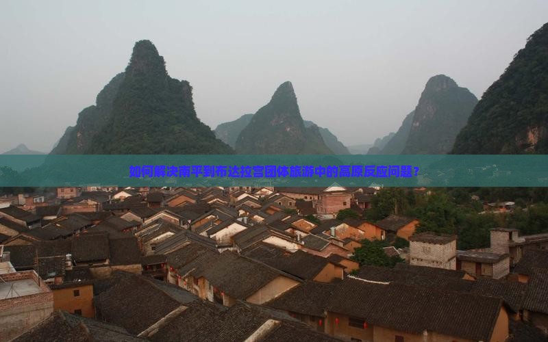 如何解决南平到布达拉宫团体旅游中的高原反应问题？