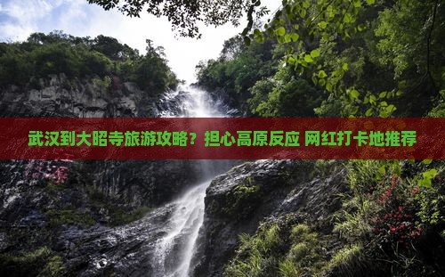 武汉到大昭寺旅游攻略？担心高原反应+网红打卡地推荐
