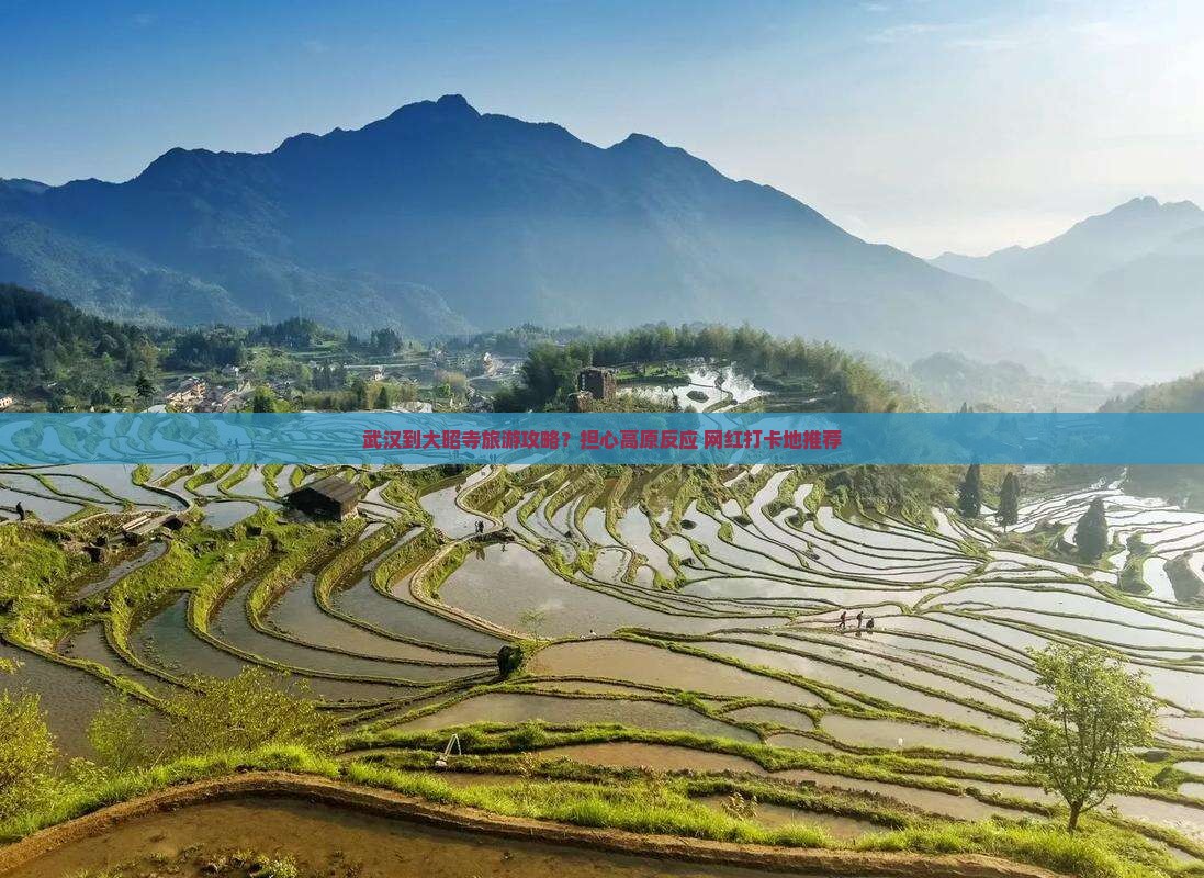 武汉到大昭寺旅游攻略？担心高原反应+网红打卡地推荐