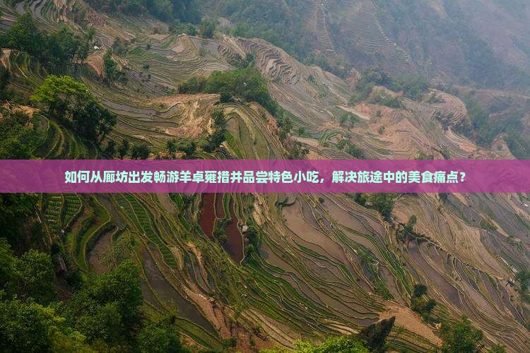如何从廊坊出发畅游羊卓雍措并品尝特色小吃,解决旅途中的美食痛点? 如何从廊坊出发畅游羊卓雍措并品尝特色小吃,解决旅途中的美食痛点?