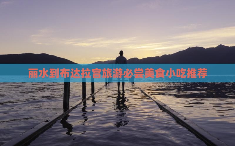 丽水到布达拉宫旅游必尝美食小吃推荐