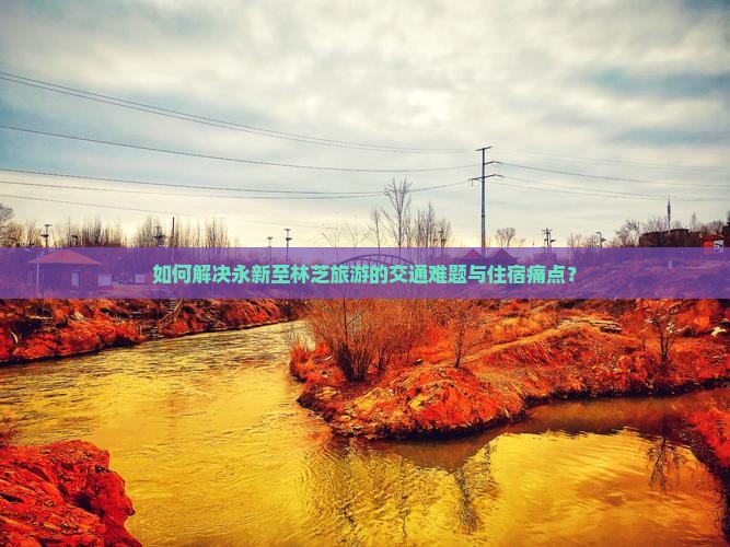 如何解决永新至林芝旅游的交通难题与住宿痛点？
