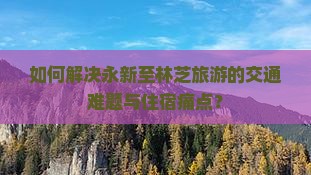 如何解决永新至林芝旅游的交通难题与住宿痛点？