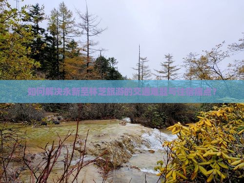 如何解决永新至林芝旅游的交通难题与住宿痛点？