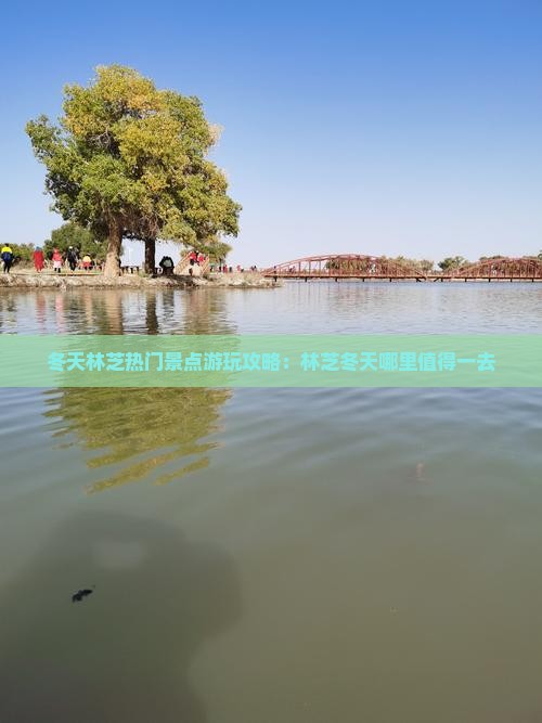 冬天林芝热门景点游玩攻略：林芝冬天哪里值得一去