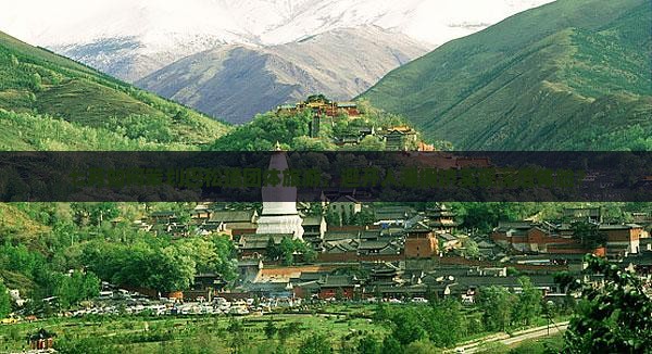 七月如何策划巴松措团体旅游，避开人潮拥挤实现深度体验？