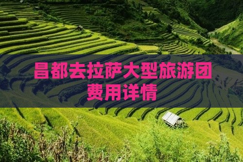 昌都去拉萨大型旅游团费用详情