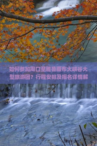 如何参加周口至雅鲁藏布大峡谷大型旅游团？行程安排及报名详情解析