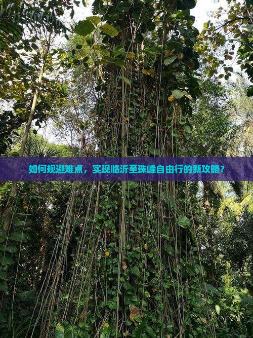 如何规避难点，实现临沂至珠峰自由行的新攻略？