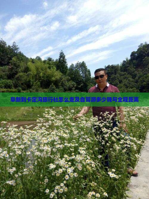 阜新到卡定沟旅行社怎么走及自驾游多少钱与全程距离