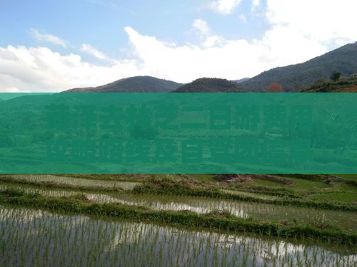 菏泽去林芝二日游费用攻略路线及自驾团信息