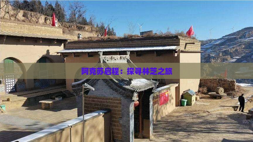 阿克苏启程：探寻林芝之旅