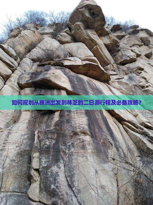如何规划从株洲出发到林芝的二日游行程及必备攻略？
