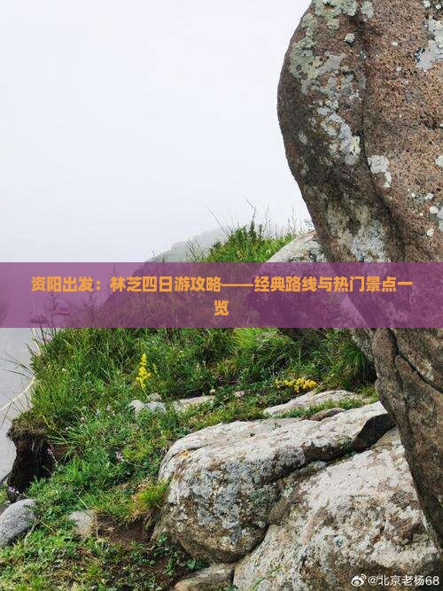 资阳出发：林芝四日游攻略——经典路线与热门景点一览