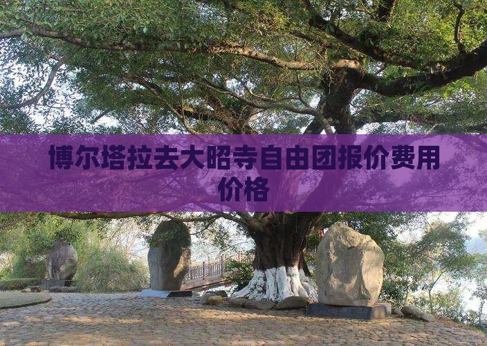 博尔塔拉去大昭寺自由团报价费用价格