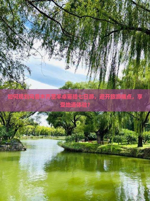 如何规划乌鲁木齐至羊卓雍措七日游，避开旅游痛点，享受地道体验？