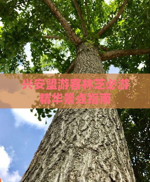 兴安盟游客林芝必游精华景点指南