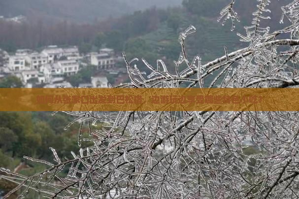 如何从张家口出发到巴松措，边游玩边享受哪些特色小吃？