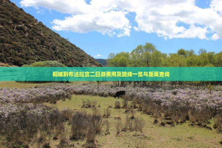 桐城到布达拉宫二日游费用及路线一览与距离查询
