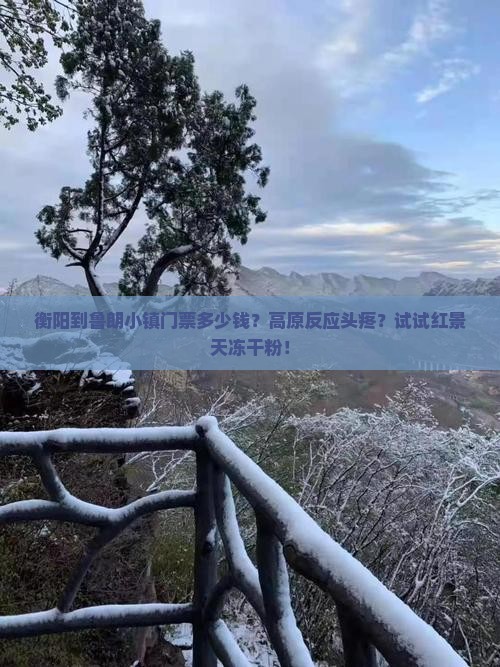 衡阳到鲁朗小镇门票多少钱？高原反应头疼？试试红景天冻干粉！