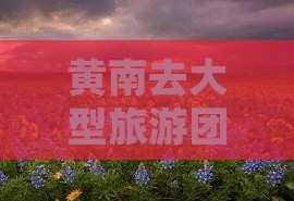黄南去大型旅游团报价多少钱
