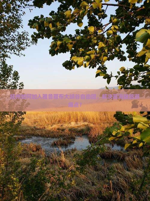 抚州如何加入雅鲁藏布大峡谷自由团，解决高海拔旅游痛点？