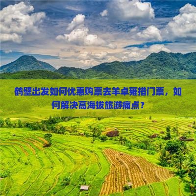 鹤壁出发如何优惠购票去羊卓雍措门票，如何解决高海拔旅游痛点？