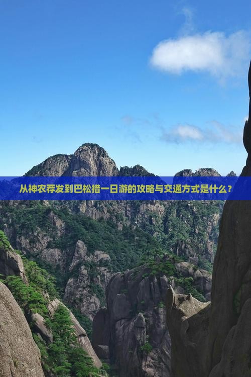 从神农荐发到巴松措一日游的攻略与交通方式是什么？