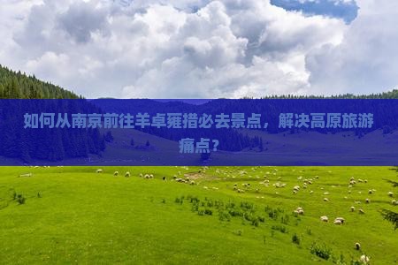 如何从南京前往羊卓雍措必去景点，解决高原旅游痛点？