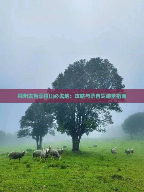 郴州去色季拉山必去地：攻略与票自驾游全指南