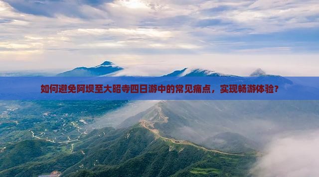 如何避免阿坝至大昭寺四日游中的常见痛点，实现畅游体验？