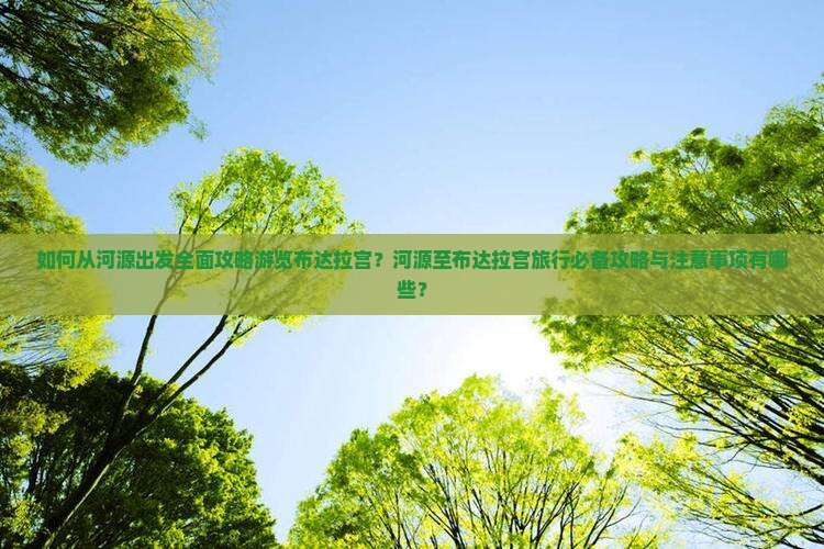 如何从河源出发全面攻略游览布达拉宫？河源至布达拉宫旅行必备攻略与注意事项有哪些？