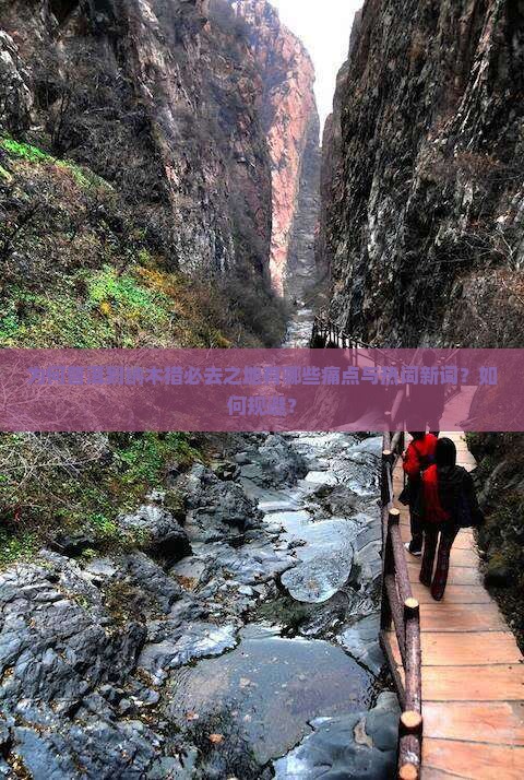 为何普洱到纳木措必去之地有哪些痛点与热词新词？如何规避？