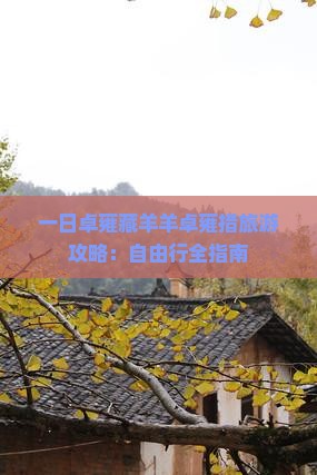 一日卓雍藏羊羊卓雍措旅游攻略：自由行全指南
