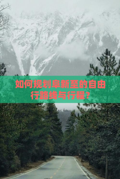 如何规划阜新至的自由行路线与行程？