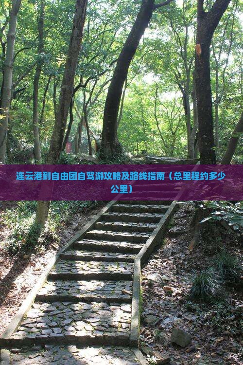 连云港到自由团自驾游攻略及路线指南（总里程约多少公里）