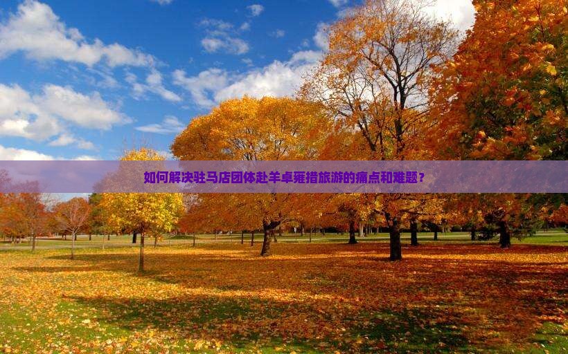 如何解决驻马店团体赴羊卓雍措旅游的痛点和难题？