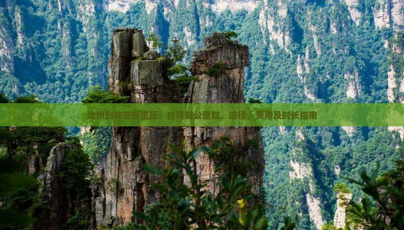 沧州到林芝哪里玩：自驾游公里数、途径、费用及时长指南