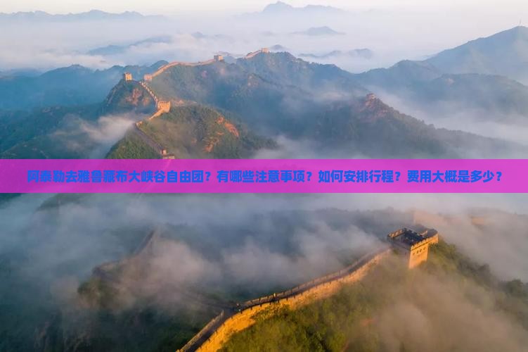阿泰勒去雅鲁藏布大峡谷自由团？有哪些注意事项？如何安排行程？费用大概是多少？