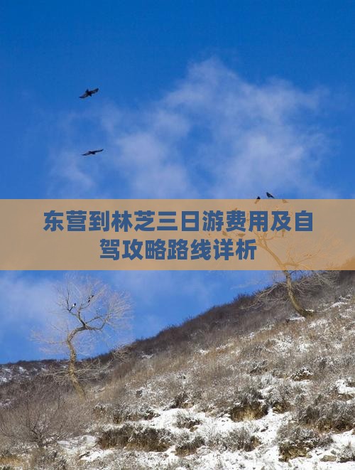 东营到林芝三日游费用及自驾攻略路线详析
