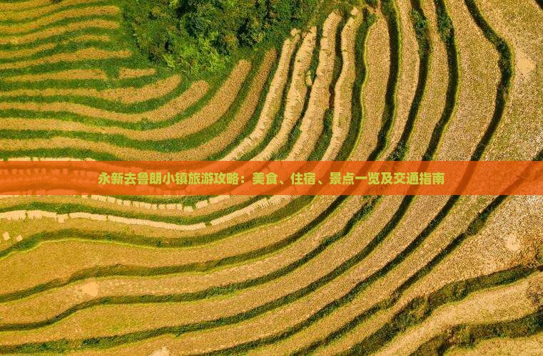 永新去鲁朗小镇旅游攻略：美食、住宿、景点一览及交通指南