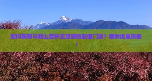 如何获取马鞍山至林芝旅游的超值门票？限时优惠攻略！
