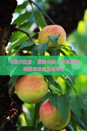 《银川出发：鲁朗小镇七日深度旅游路线攻略及推荐》
