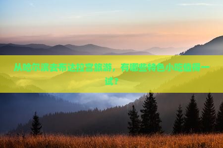 从哈尔滨去布达拉宫旅游，有哪些特色小吃值得一试？